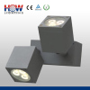 LED Outdoor Wall Light 6W 2 Heading Lighting