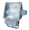 Floodlighting 1000W E40 220V