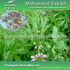 GMP Standard Motherwort Extract