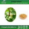 GMP Standard Ginkgo Extract