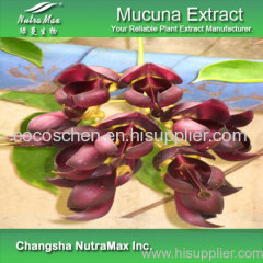 GMP Standard Mucuna Extract