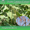 Ovate Catalpa Extract powder