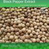 100% Natural Black Pepper Extract Powder 3%~98% Piperine