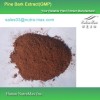 100% Natural Pine Bark Extract 95%-98% proanthocyanidins