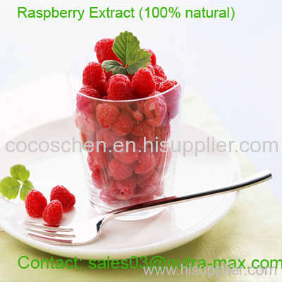 100% Natural Raspberry Extract, Raspberry Ketone 98%,99%