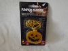 2013 Halloween Pumpkin Flasher