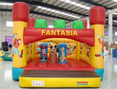 Fantasia Children Inflatable Castle