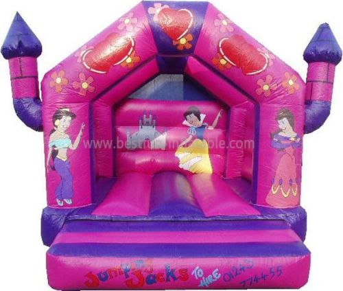 Pink Princess Inflatable Castle Bouncer House