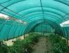 Agriculture HDPE Sun Shade Net 1 x 100m , 2 x 100m For Greenhouse