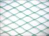 Agricultural Anti Bird Netting