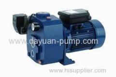 Cast iron body DDPm-505A Multistage Centrifugal pumps