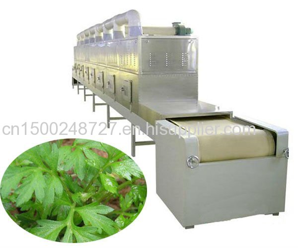 microwave coriander dehydrator and sterilizer 