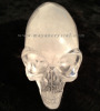 Rock Crystal ET Alien Skull