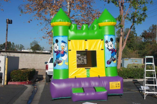 Green Bounce Houses With Different Theme Pannel