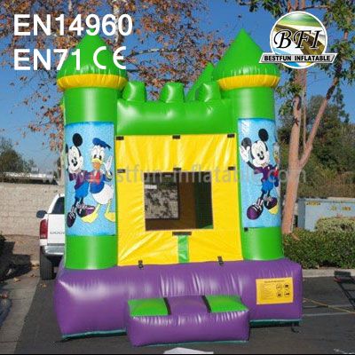 Green Bounce Houses With Different Theme Pannel