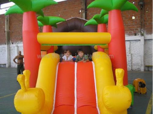 Lion Inflatable Bouncer House