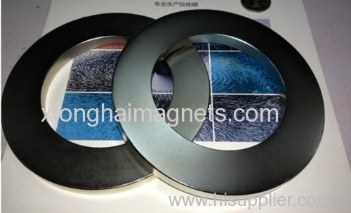 Nickle ring Neodymium Magnets