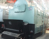 DZL series single drum coal fired steam boiler