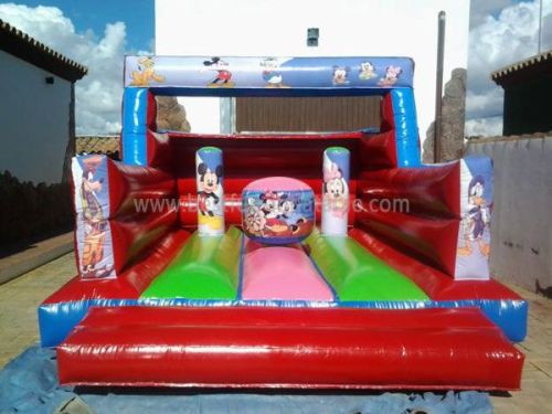 Mickey Air Jump Castle Rentals