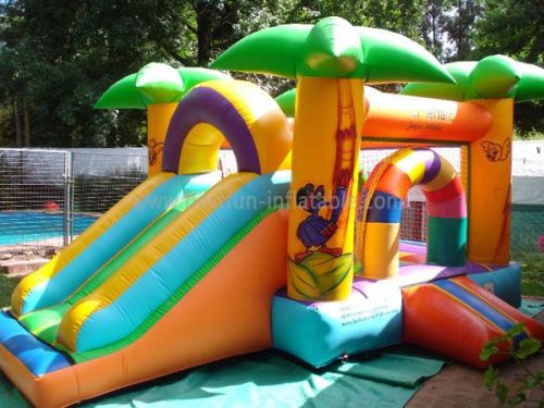 Bouncy House With Slide From Inflatable Manufacture