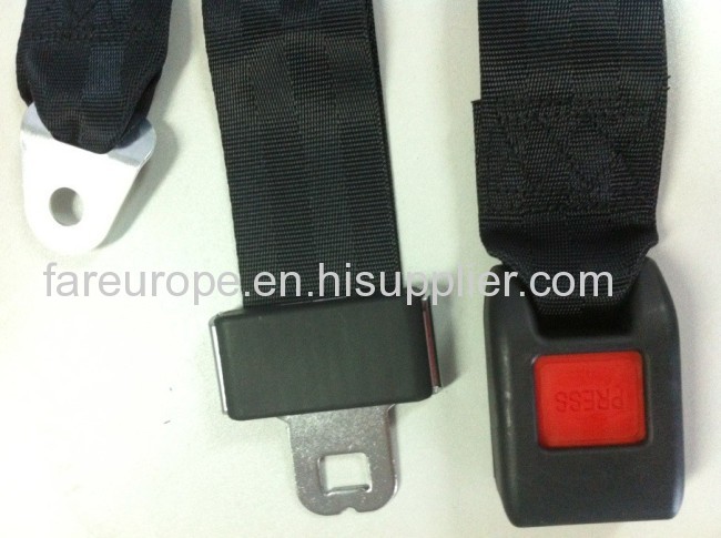 2 Point non-standard seat belt