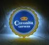Crown Cock Plastic Indoor Led Signs Wall Led Billboard