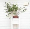 Garden Wood And Plastic Composite Flower Pots Eco-friendly