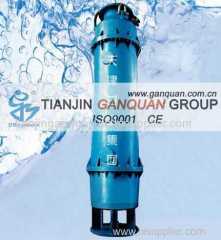 Submersible Self priming Pump