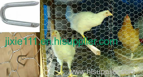 Poultry staples - 3/4" 13 Ga. hot galvanized poultry net staple