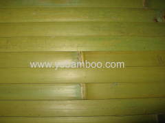 cool green bamboo wallpaper