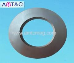 Rare Earth NdFeB Magnets Ring Industry