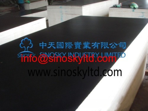 black film face plywood plywood poplar core