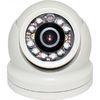 Poe Mini IR Dome IP Camera CCTV Network Security DWDR With Motion Detection Color to BW