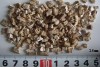 2-4mm silver raw vermiculite