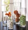 Wholesale for glass vase, cylinder vase, candle holder, round vase, supplier for flower pot,