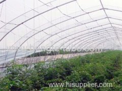 Economic tunnel green house