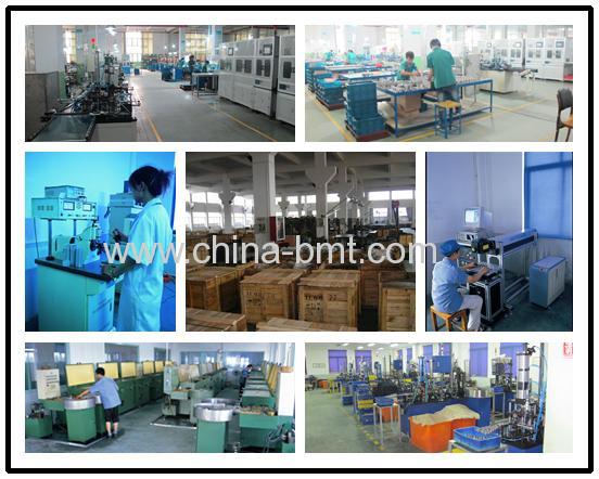 Stainless Steel Bushing Chian Manufacturer