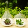 Wholesale Home Decoration Hanging Glass Flower Vase