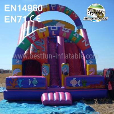 Dual Lanes China Inflatable Tunnel Slide