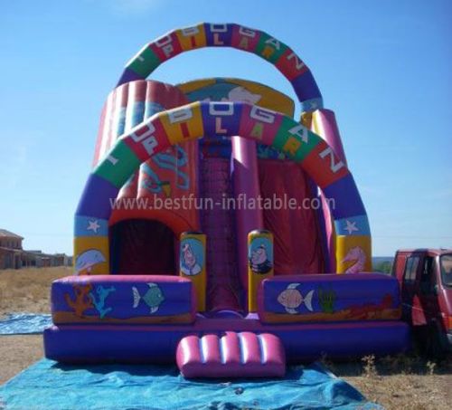 Dual Lanes China Inflatable Tunnel Slide