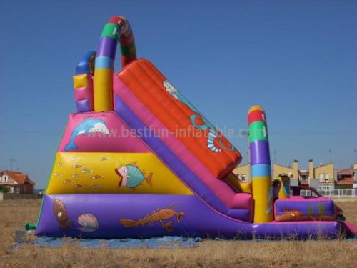 Dual Lanes China Inflatable Tunnel Slide