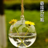 Circular Hang Borosilicate Glass Vases