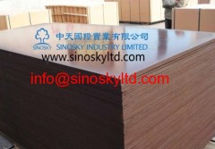 china brown film face plywood