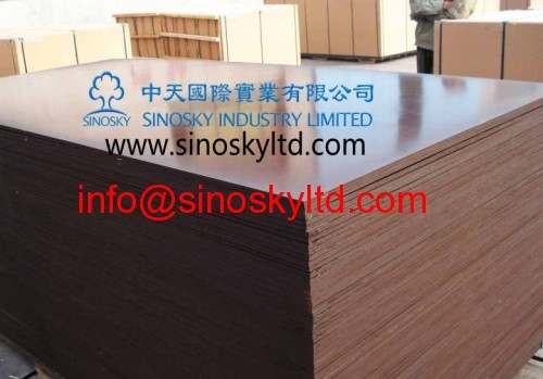 china brown film face plywood