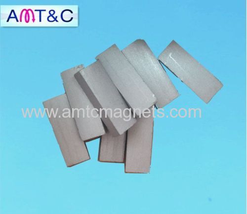 Samarium Cobalt Magnet Cup shape