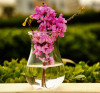 Fashionable And Simple High Transparent Glass Vase