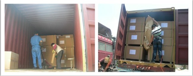 Container Loading Inspection Service