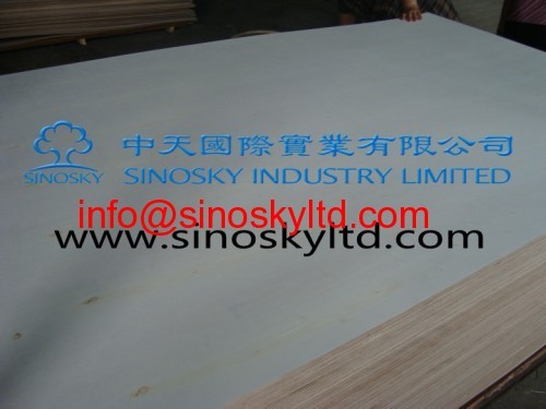 china plywood factory manufactrer
