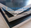 china black film face plywood poplar core low price