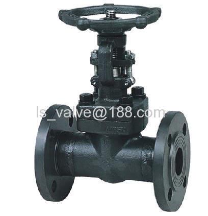 flange forged gate valve